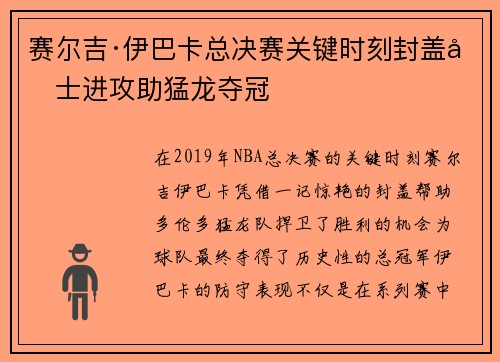 赛尔吉·伊巴卡总决赛关键时刻封盖勇士进攻助猛龙夺冠