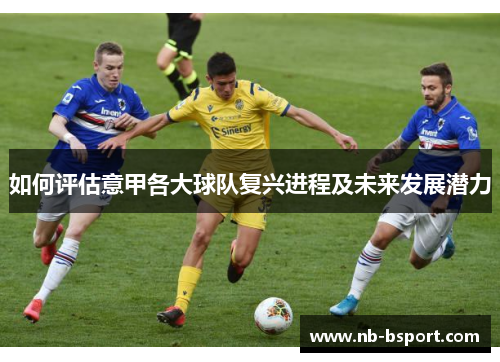 如何评估意甲各大球队复兴进程及未来发展潜力