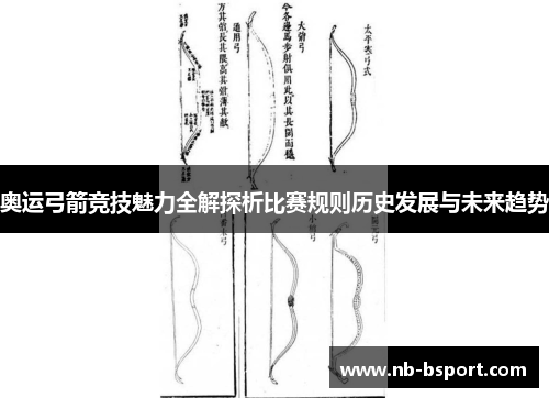 奥运弓箭竞技魅力全解探析比赛规则历史发展与未来趋势