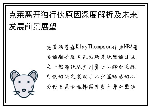 克莱离开独行侠原因深度解析及未来发展前景展望