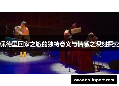 佩德里回家之旅的独特意义与情感之深刻探索
