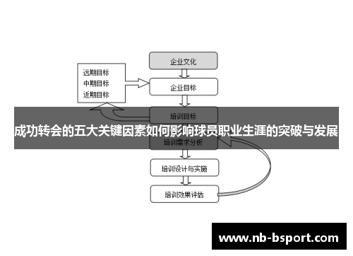成功转会的五大关键因素如何影响球员职业生涯的突破与发展