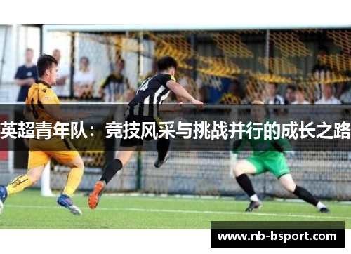 英超青年队：竞技风采与挑战并行的成长之路