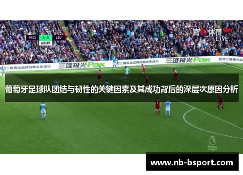 葡萄牙足球队团结与韧性的关键因素及其成功背后的深层次原因分析