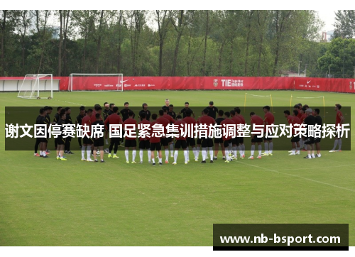 谢文因停赛缺席 国足紧急集训措施调整与应对策略探析 谢文因停赛缺席 国足紧急集训措施调整与应对策略探析