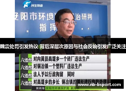 魏震处罚引发热议 背后深层次原因与社会反响引发广泛关注