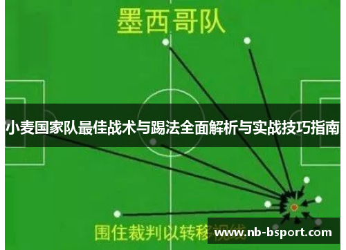 小麦国家队最佳战术与踢法全面解析与实战技巧指南 小麦国家队最佳战术与踢法全面解析与实战技巧指南